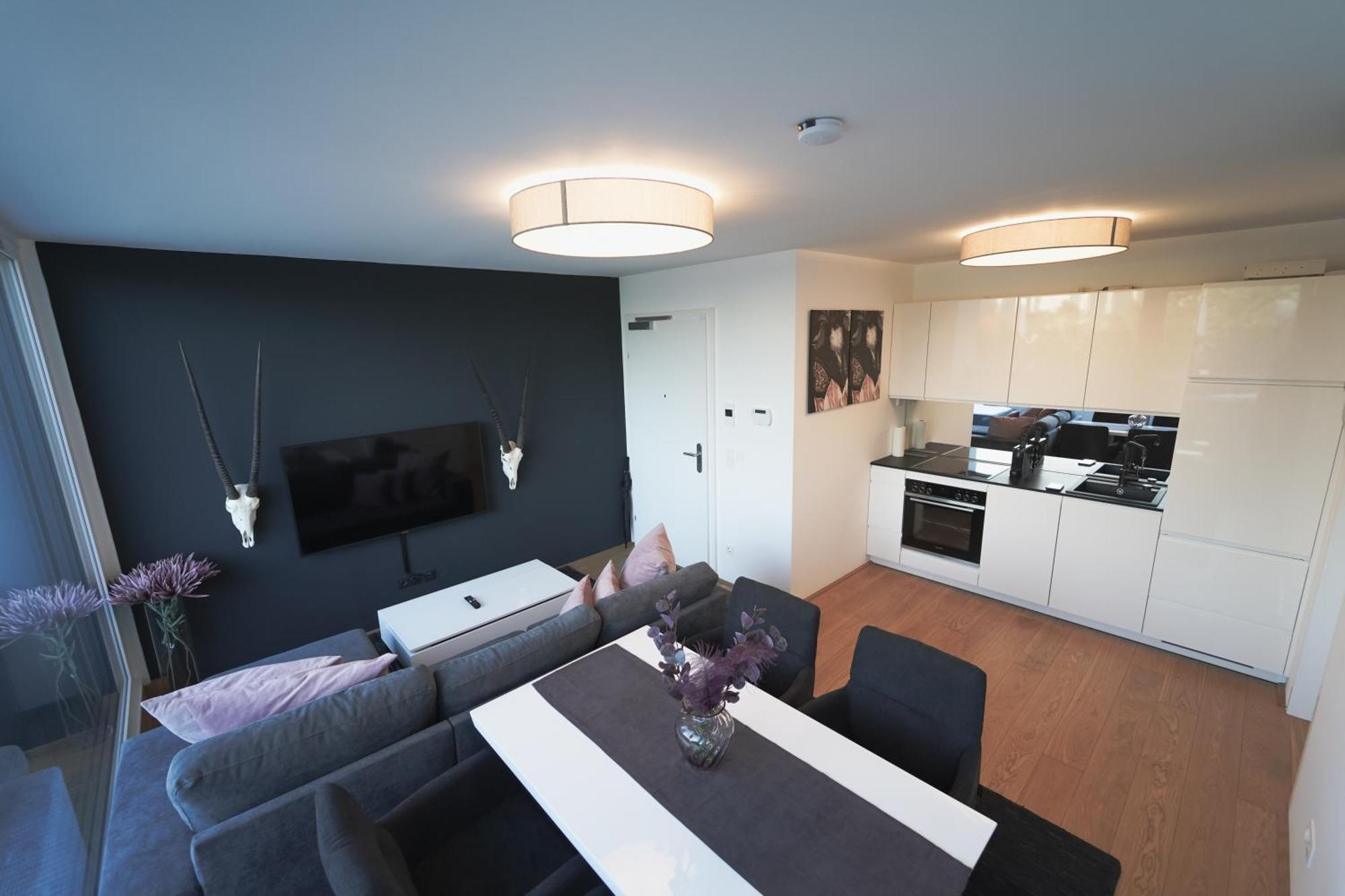 Modern Stylish Design Apartment With Free Parking Emily Вена Экстерьер фото